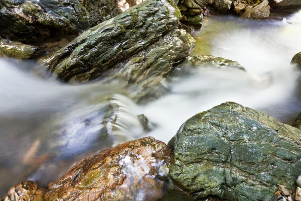 Creek — Zdjęcie stockowe