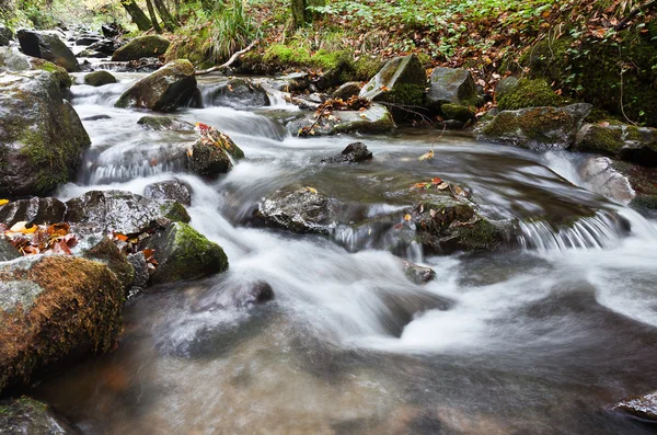 The creek — Stock Photo, Image