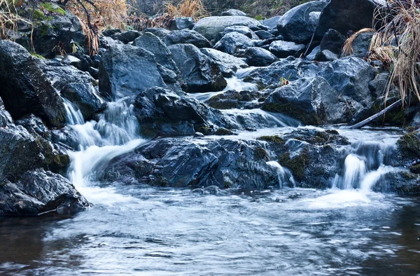 The creek — Stock Photo, Image