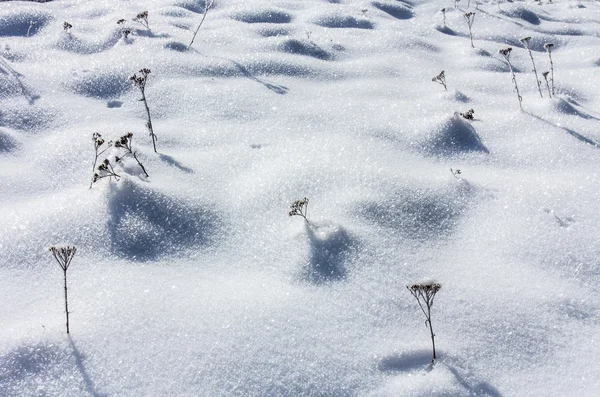 O inverno — Fotografia de Stock