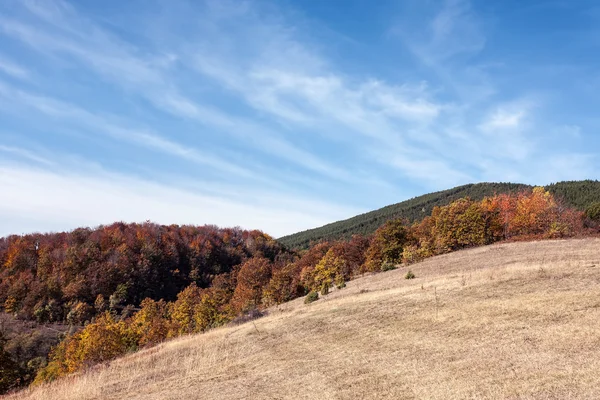 Paisaje otoñal — Foto de Stock