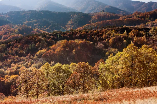 Herbstliche Landschaft — Stockfoto