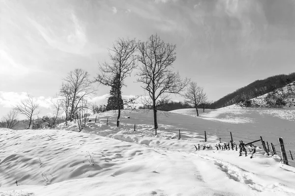 Iarnă, peisaj — Fotografie, imagine de stoc