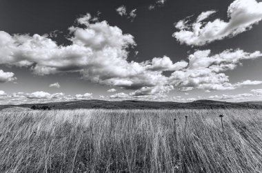 manzara siyah ve beyaz