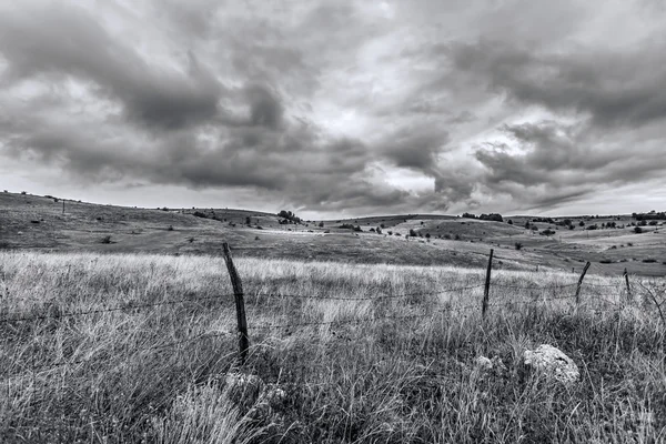 Пейзаж чёрно-белый — стоковое фото