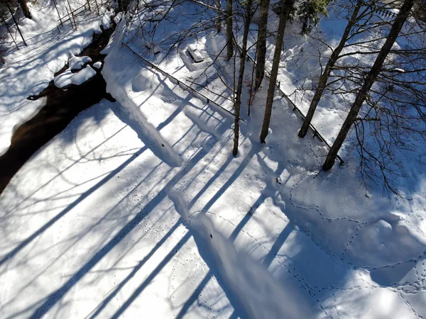 乡村冬季风景 阳光灿烂的冬天 — 图库照片