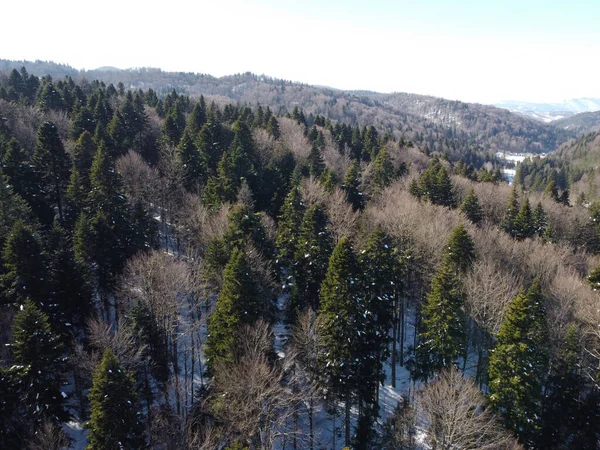 空気からの美しい冬の風景 — ストック写真