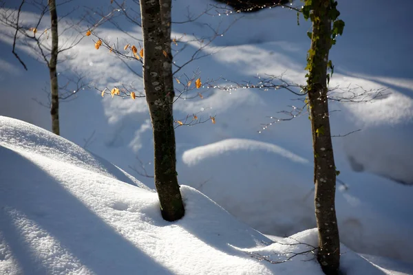 雪の砂丘の閉鎖ショット — ストック写真