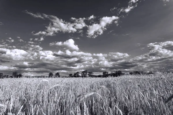 Mountain Landscapes Black White — ストック写真