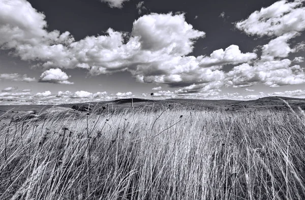 Paisagens Montanhosas Preto Branco — Fotografia de Stock