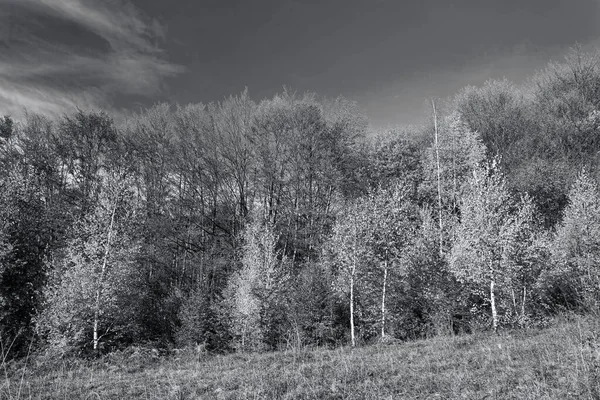 Mountain Landscapes Black White — Fotografia de Stock