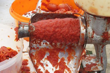 Domates ve domates sosu (salsa olsun sıkma)