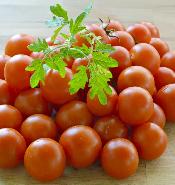 春は成長、半分にカット、トマトの収穫トマトもやし — ストック写真