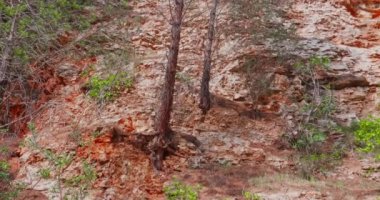 Bari yakınlarındaki Modugno 'da eski bir taş ocağında küçük bir yapay göl oluşturuldu. Doğa vahşi ama hoş bir ortam yarattı..
