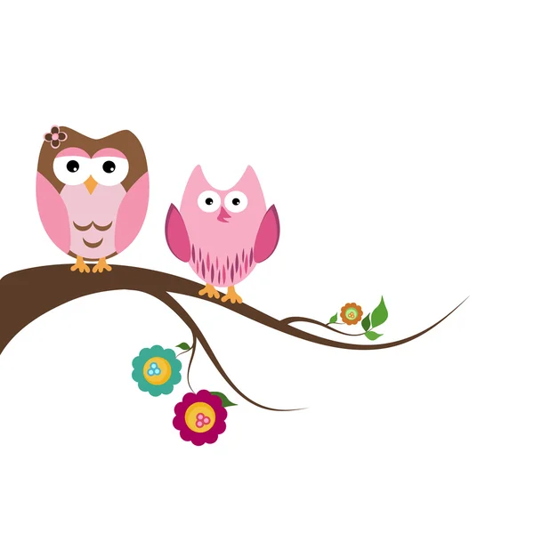 Couple owls — Stock Vector