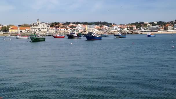 Baía de Cascais com o porto de pesca de fundo — Vídeo de Stock