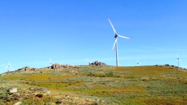 Molino de viento paisaje — Vídeo de stock