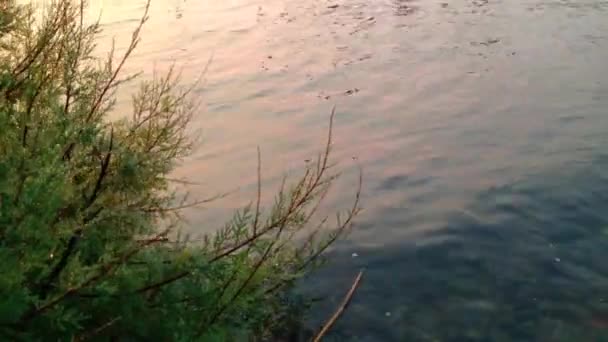 河上的日出 — 图库视频影像