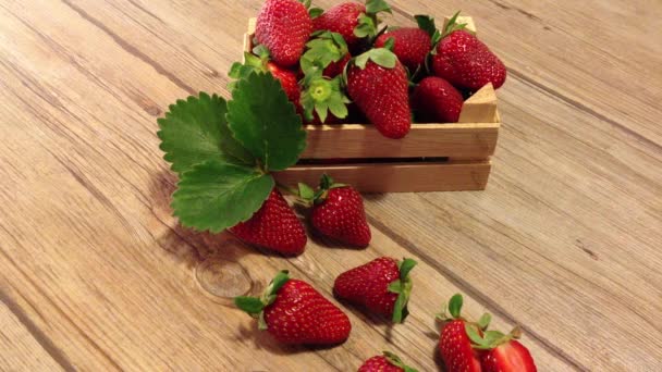 Fragole fresche — Video Stock