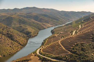 Douro Valley ve nehir Portekiz Pinhao Köyü yakınındaki teraslı üzüm bağları görünümünü. Kavram Portekiz seyahat ve Portekiz en güzel yerleri.