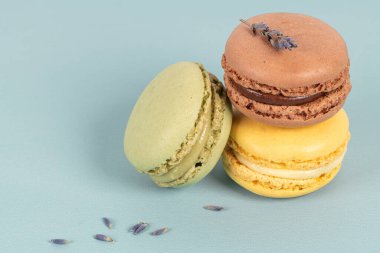 Turkuaz arka planda pasta ya da badem kurabiyeleri, pastel renkler, klasik kartlar.