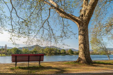 Park bankında nehir kenarında doğa manzarası, Ponte de Lima, Portekiz