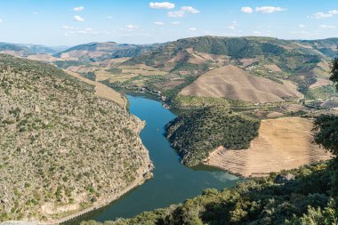 Douro Vadisi, Portekiz. Nehir manzaralı ve üzüm bağları tepelerde..