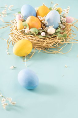 Küçük yuvada mavi ve sarı yumurtalar ve mavi arka planda çiçekler.