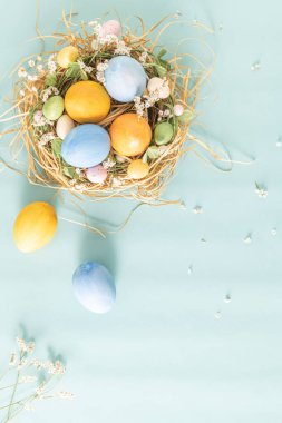 Küçük yuvada mavi ve sarı yumurtalar ve mavi arka planda çiçekler.