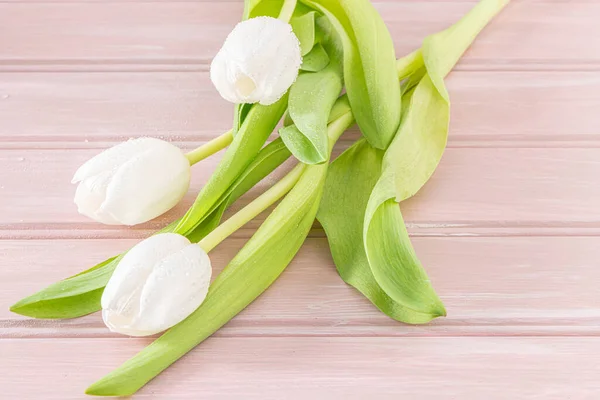 Ramo Tulipanes Blancos Sobre Fondo Madera Rosa Tulipán Primavera Para —  Fotos de Stock