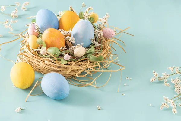 Easter blue and yellow eggs in small nest and flowers on blue background