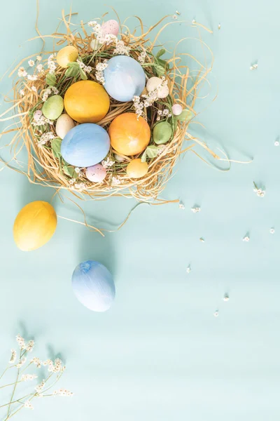 Küçük yuvada mavi ve sarı yumurtalar ve mavi arka planda çiçekler.