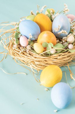 Küçük yuvada mavi ve sarı yumurtalar ve mavi arka planda çiçekler.