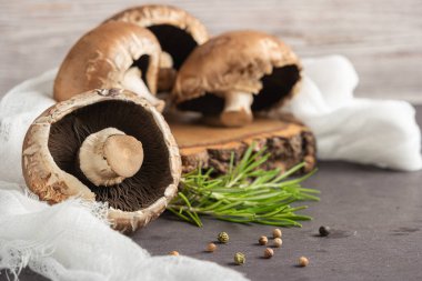 Su damlalarında kraliyet şampiyonu, birkaç taze mantar ve gri doğal arka planda biberiye, kopyalama alanı ile seçici bir odak. Mantarlara yakın çekim. Bazı mantarlar bulanık..