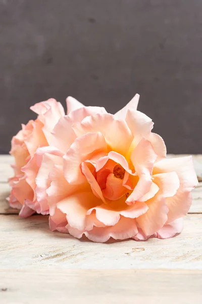 新鲜的一束粉红色玫瑰花的木背景 柔和的花卉壁纸背景从花瓣 时尚的色彩 绽放爱的概念 顶部视图 — 图库照片