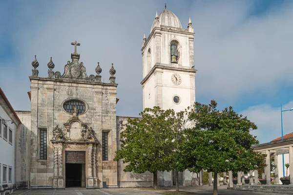 Aveiro Katedrali Portekiz Ulusal Bir Anıttır Parlak Yaz Günü — Stok fotoğraf