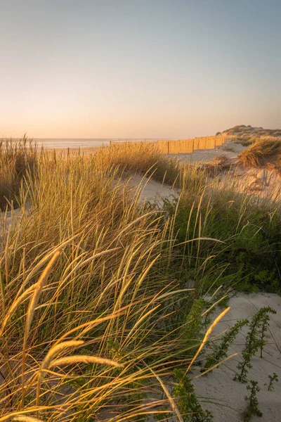 Paisagem Praia Furadouro Pôr Sol Ovar Portugal — Fotografia de Stock