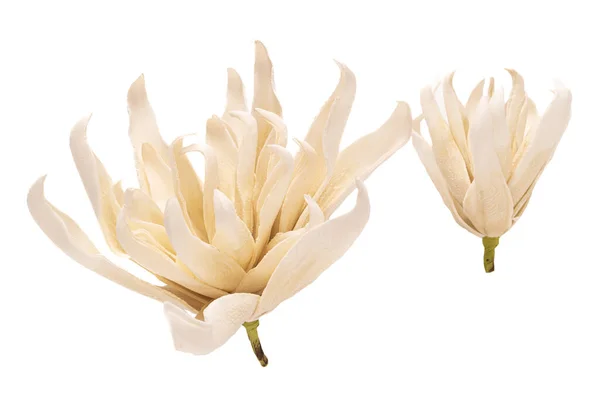 Elegancki Wiosenny Kwiat Sztuczna Gardenia Odizolowana Białym Tle Ślubny Obraz — Zdjęcie stockowe