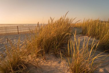Günbatımında Furadouro sahilinin manzarası. Ovar, Portekiz