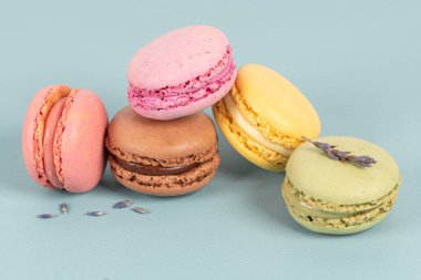 Turkuaz arka planda pasta ya da badem kurabiyeleri, pastel renkler, klasik kartlar.