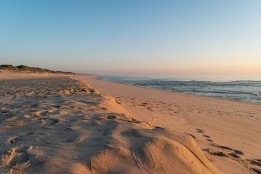 Landscape of sunset in Murtosa beach. Aveiro, Portugal.