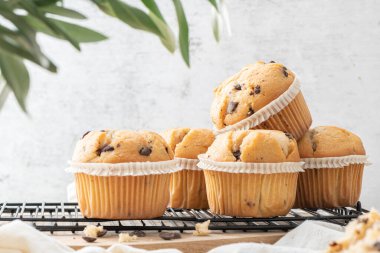 Chocolate chip muffins on a baking rack and glasses of milk on a white kitchen countertop.  Morning breakfast table