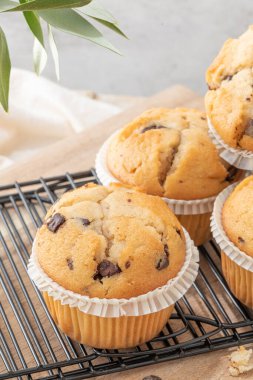 Chocolate chip muffins on a baking rack and glasses of milk on a white kitchen countertop.  Morning breakfast table