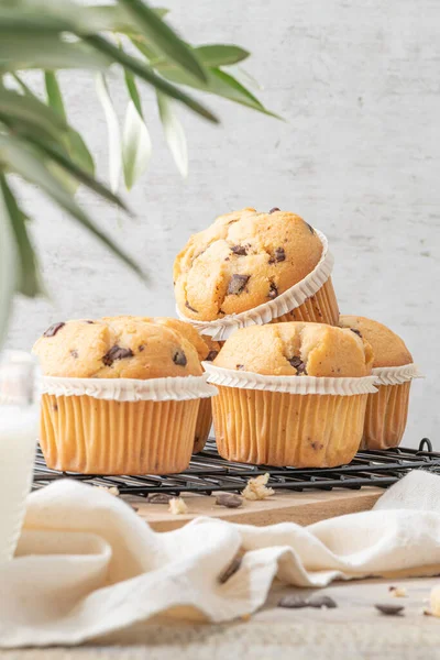 Chocolate chip muffins on a baking rack and glasses of milk on a white kitchen countertop.  Morning breakfast table