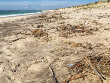 Portekiz, Ovar 'daki Furadouro plajında plastik atık. Çöp, plastik, çöp, şişe ve odun enkazı. Kumsaldaki çevre kirliliği.