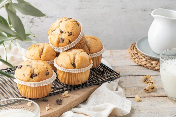 Chocolate chip muffins on a baking rack and glasses of milk on a white kitchen countertop.  Morning breakfast table