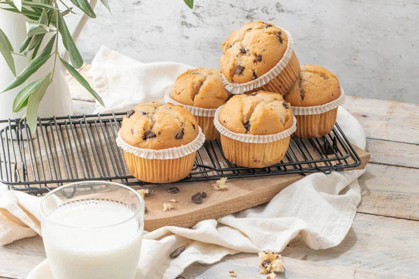 Chocolate chip muffins on a baking rack and glasses of milk on a white kitchen countertop.  Morning breakfast table