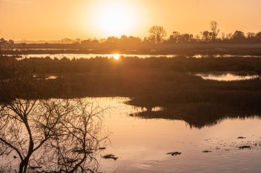 Gün batımı görünümü'Ria de Aveiro, Ovar, Portekiz