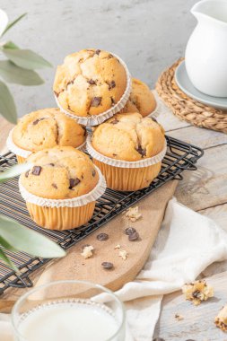Chocolate chip muffins on a baking rack and glasses of milk on a white kitchen countertop.  Morning breakfast table