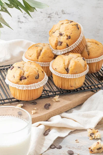 Chocolate chip muffins on a baking rack and glasses of milk on a white kitchen countertop.  Morning breakfast table